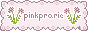 THE BUTTON FOR THE SITE 'PINK PASTURE'.