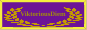 THE BUTTON FOR THE SITE 'VIKCTORIOUS'.